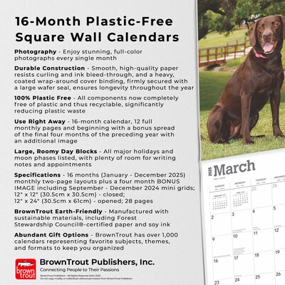 2025 BrownTrout Chocolate Labrador Retrievers 12" x 12" Monthly Square Wall Calendar (9781975477356)