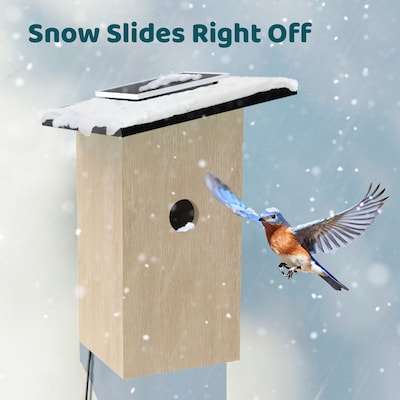 Birdfy Nest Ebony Birdhouse with Camera, Solar Panel and AI by Subscription, Multicolored (EPPAMBNI8802110)