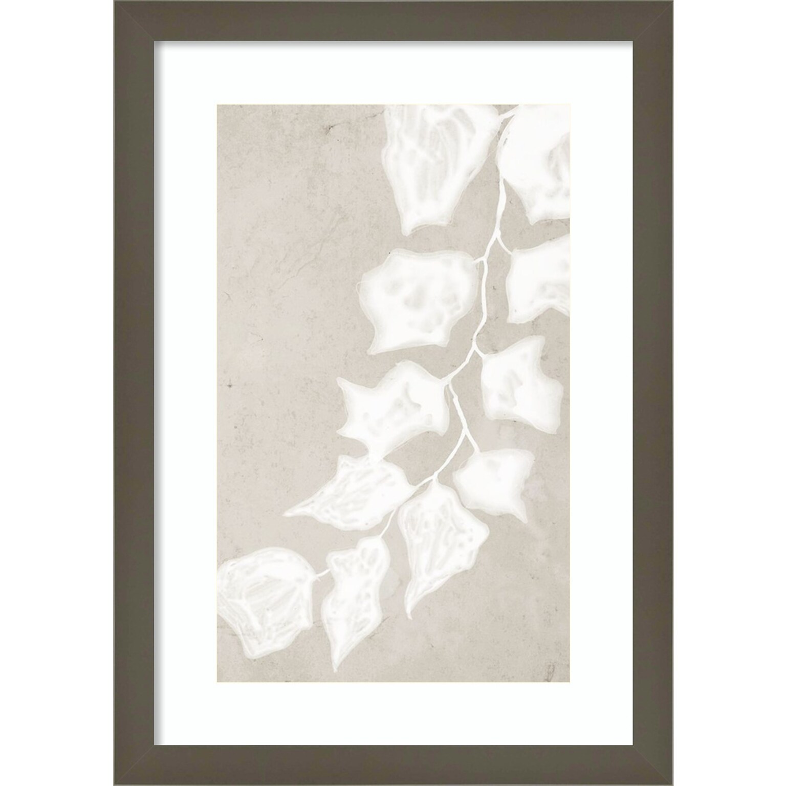 Amanti Art Paper Bark III by Urban Road Wood Framed Wall Art Print, 12 x 17 (A42675528788)