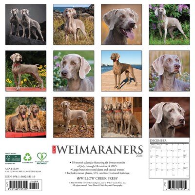 2026 Willow Creek Weimaraners 12 x 12 Monthly Wall Calendar (53119)