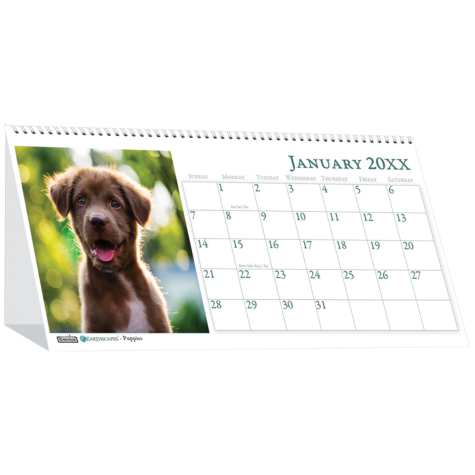 2026 House of Doolittle Earthscapes Puppy 8.5 x 4.25 Monthly Desktop Tent Calendar (3659-26)