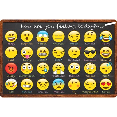 Ashley Smart Poly Computer Mouse Pad, 8 x 10, How are You Feeling, 6/Pack (ASH12507-6)