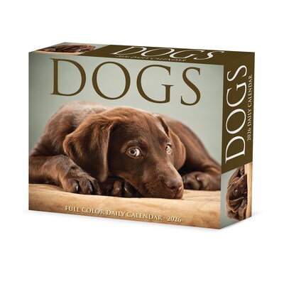 2026 Willow Creek Dogs 6.2" x 5.4" Day-to-Day Calendar (54147)