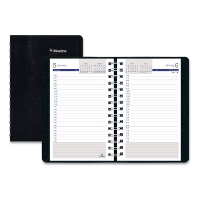 2024 Blueline DuraGlobe Daily Planner Ruled For 30-Minute Appointments, 8 x 5, Black (C21021T)
