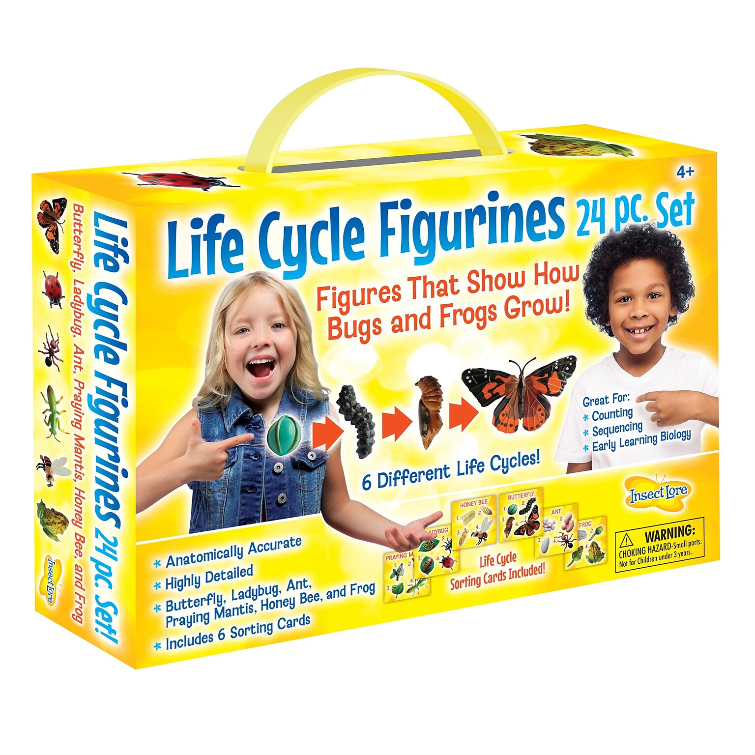 Insect Lore Life Cycle Figurines Set, 24 Pieces (ILP2205)