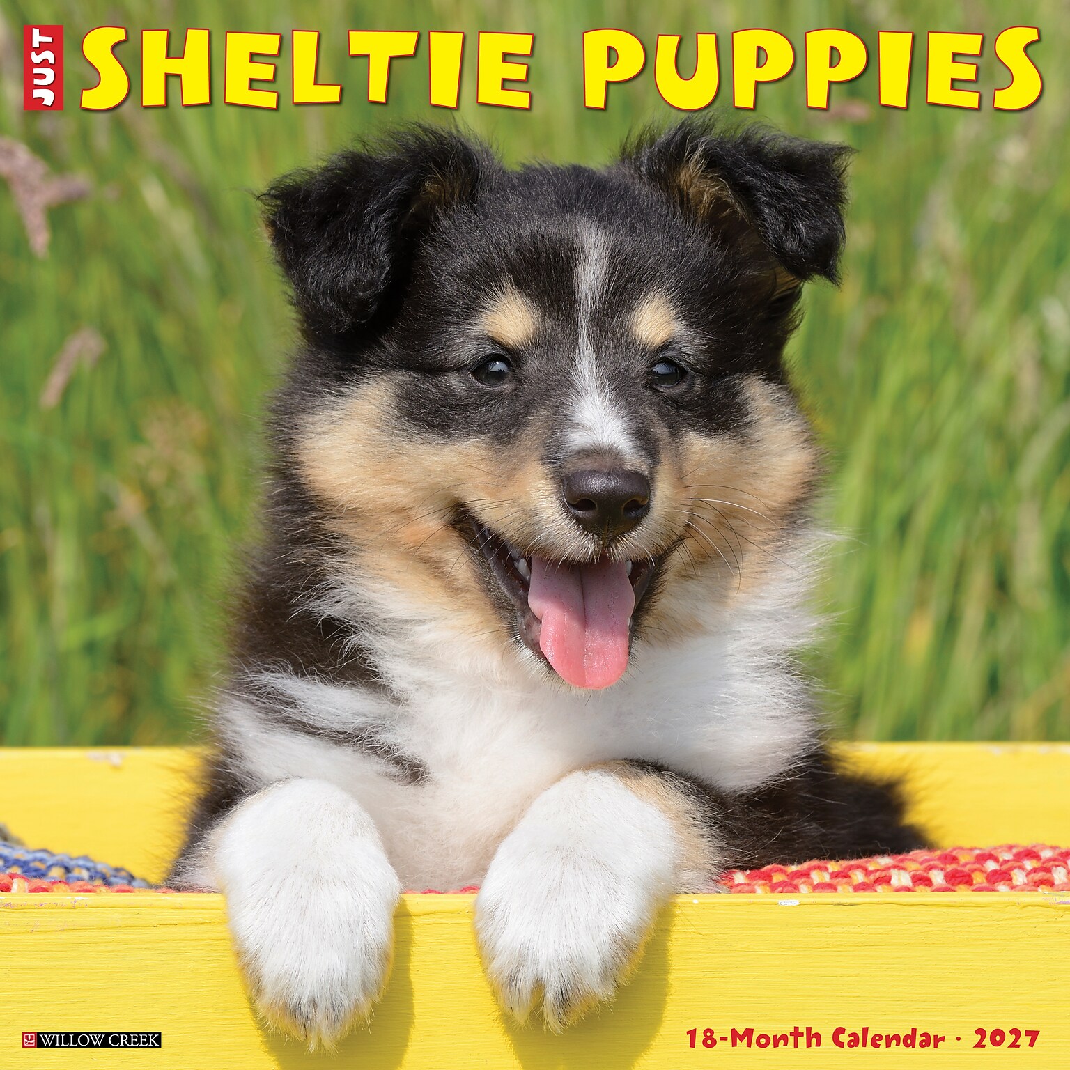 2027 Willow Creek Sheltie Puppies 12 x 12 Monthly Wall Calendar, Assorted Colors (62296)
