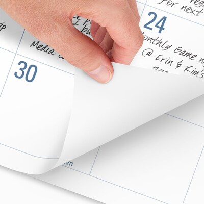 2026 AT-A-GLANCE Easy-to-Read 21.75 x 17 Monthly Desk Pad Calendar, White/Blue (SKLP24-32-26)