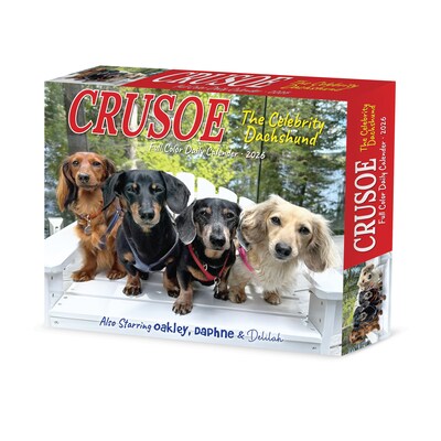 2026 Willow Creek Crusoe the Celebrity Dachshund 6.2" x 5.4" Day-to-Day Calendar (54086)