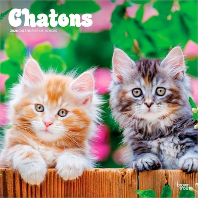 2026 BrownTrout Chatons 12 x 12 Monthly Wall Calendar (9798330707331)