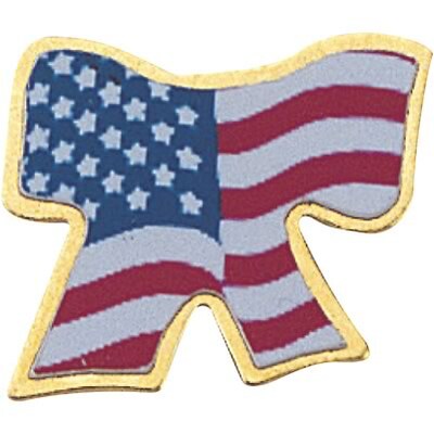 Patriotic Services Lapel Pins; Flag Ribbon