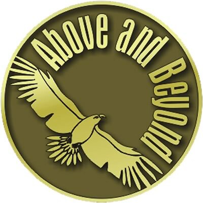 Recognition Lapel Pins; Above and Beyond