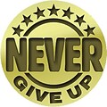 Recognition Lapel Pins; Never Give Up