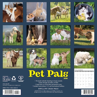 2025 Willow Creek Pet Pals 12 x 12 Monthly Wall Calendar (44438)