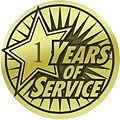 Recognition Lapel Pins; 1-Year of Service