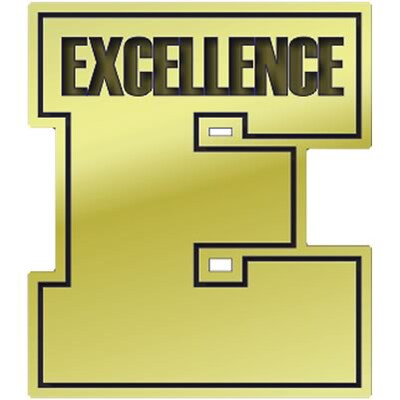 Recognition Lapel Pins; Excellence