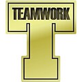 Recognition Lapel Pins; Teamwork