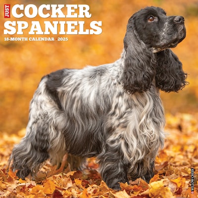 2025 Willow Creek Just Cocker Spaniels 12 x 12 Monthly Wall Calendar (42496)