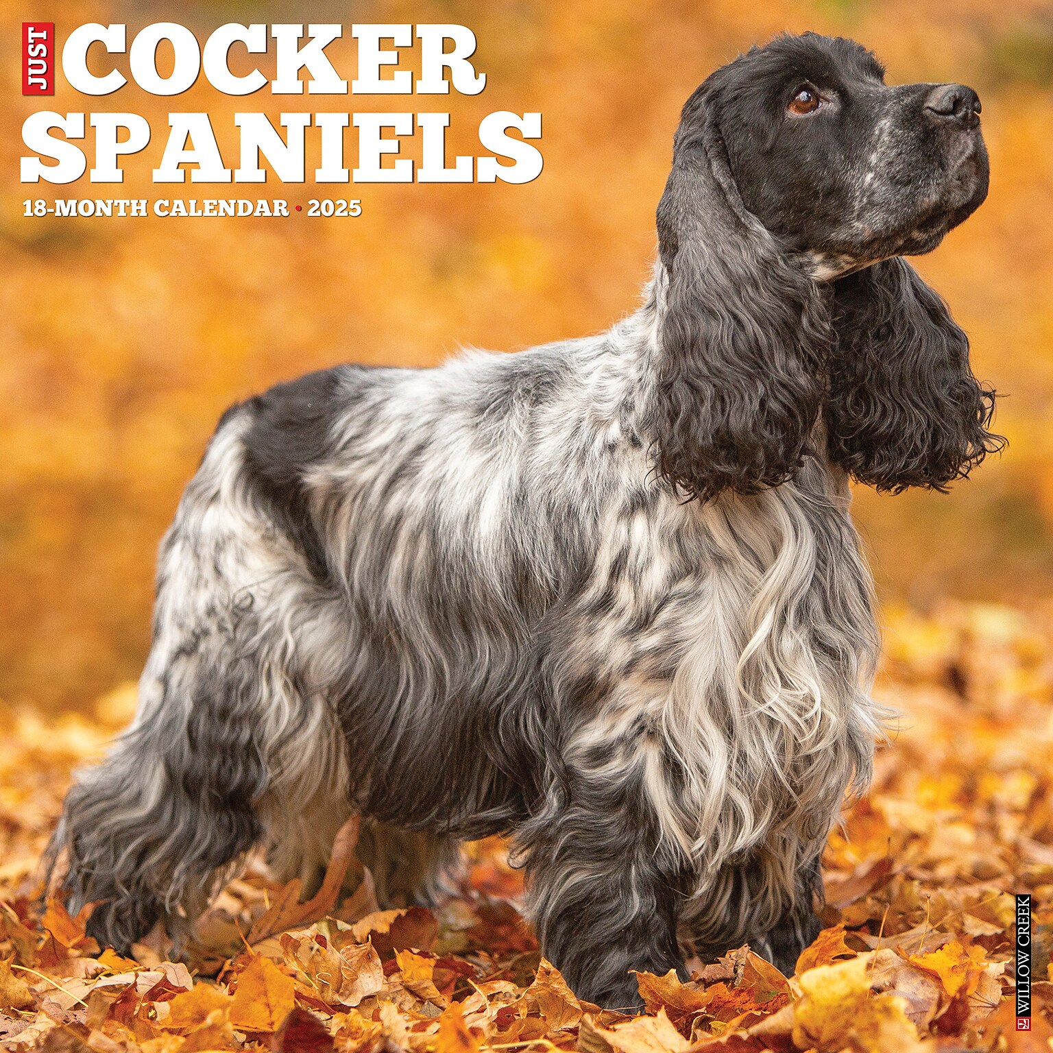 2025 Willow Creek Just Cocker Spaniels 12 x 12 Monthly Wall Calendar (42496)