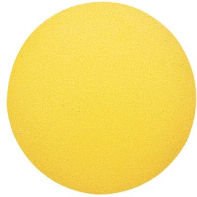 Martin Sports Physical Education Foam Ball; 7