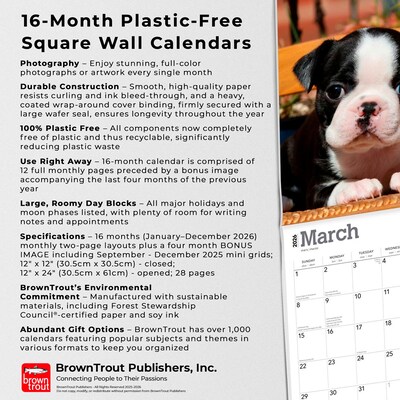 2026 BrownTrout Boston Terrier Puppies 12" x 12" Monthly Wall Calendar (9798330702596)