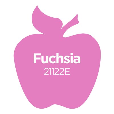 Apple Barrel Acrylic Paint Matte, 16oz., Fuchsia, 3/Pack (APP21122E-3)