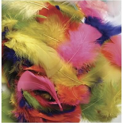 Creativity Street® Feathers, Assorted Bright Hues (CK-450001)