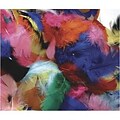 Creativity Street® Feathers, Hot Colors (CK-450002)