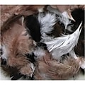 Chenille Kraft® Feathers; Natural Colors