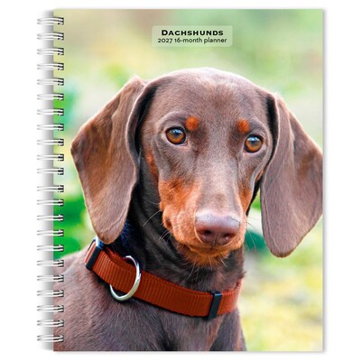 2027 BrownTrout Dachshunds 6.5 x 7.8 Calendar Year Weekly Standard Planner, Multicolor (9798330709489)