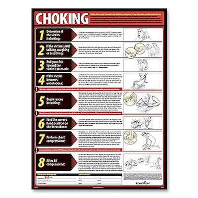 English Choking Lifesaving Posters
