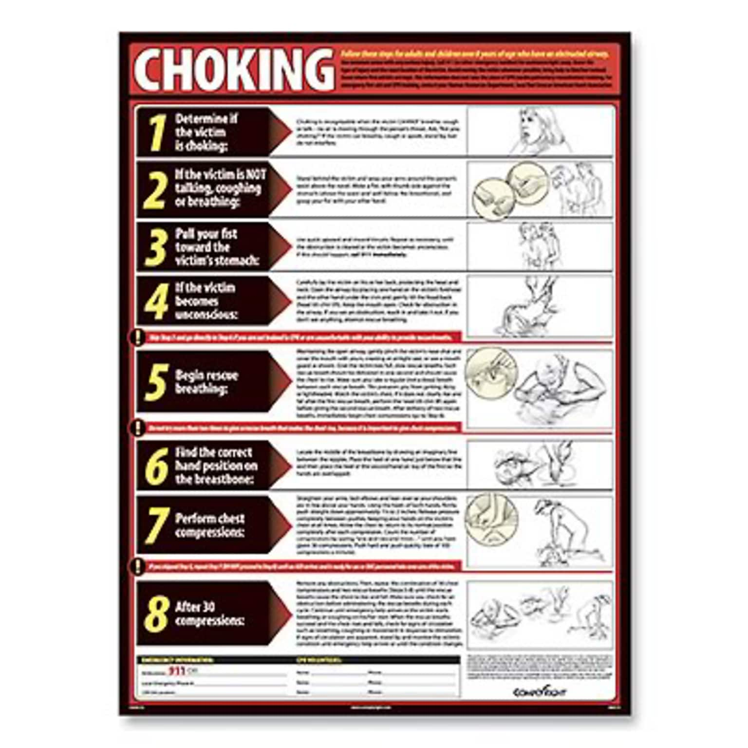 ComplyRight™ Lifesaving Posters; Choking, English Version