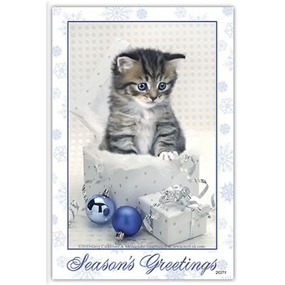 Medical Arts Press® Standard 4x6 Postcards; Holiday Kitten