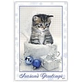 Medical Arts Press® Standard 4x6 Postcards; Holiday Kitten