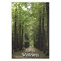 Medical Arts Press® Chiropractic Standard 4x6 Postcards; Path to Wellness