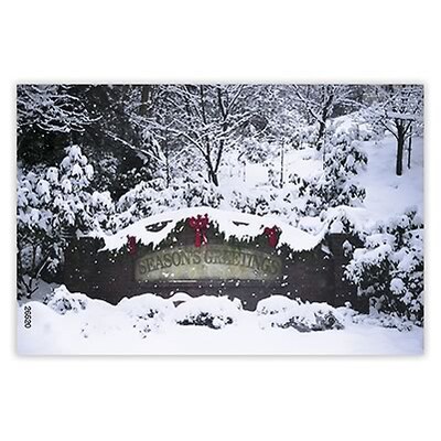Medical Arts Press® Standard 4x6 Postcards; Laurel Hills Snow