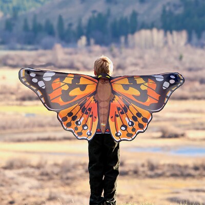 Insect Lore Dress-Up Painted Lady Butterfly Wings, Multicolored (ILP4800)