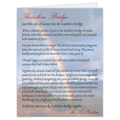Medical Arts Press® Veterinary Sympathy Cards; Rainbow Bridge, Personalized