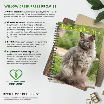 2026 Willow Creek What Cats Teach Us 6.5" x 8.5" Daily & Monthly Personal Organizer (54666)