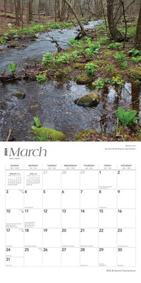 2024 BrownTrout Connecticut Wild & Scenic 12" x 24" Monthly Wall Calendar (9781975462444)