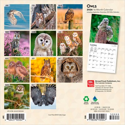 2026 BrownTrout Owls 7 x 7 Monthly Wall Calendar (9798330705047)