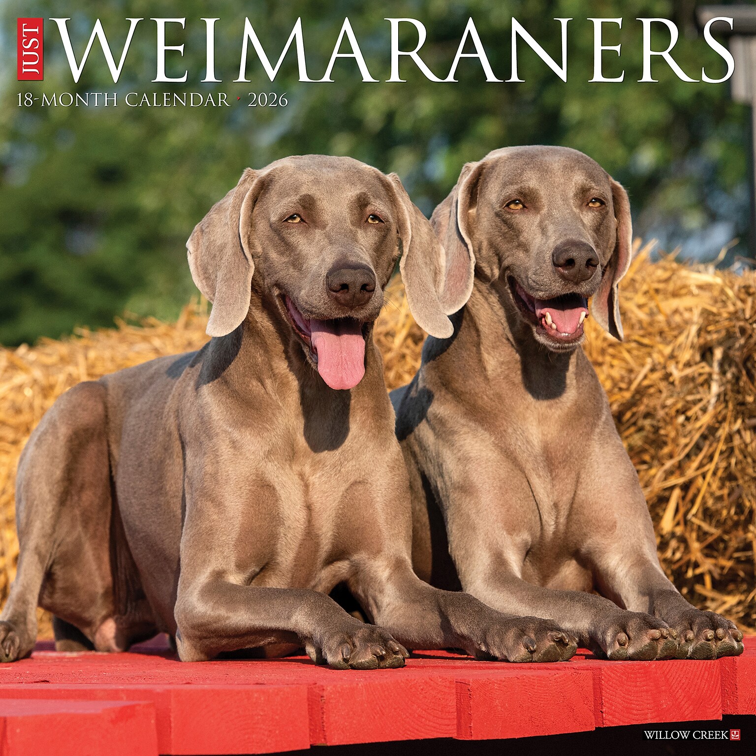 2026 Willow Creek Weimaraners 12 x 12 Monthly Wall Calendar (53119)