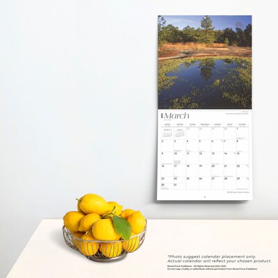2025 BrownTrout South Carolina Wild & Scenic 12" x 12" Monthly Square Wall Calendar (9781975475710)