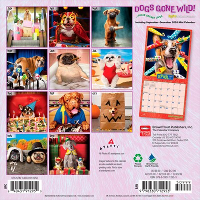 2027 BrownTrout Avanti Dogs Gone Wild 7 x 7 Monthly Wall Calendar, Assorted Colors (9798330712953)