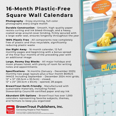 2025 BrownTrout Avanti Livin' the Dream  12" x 12" Monthly Square Wall Calendar (9781975479695)