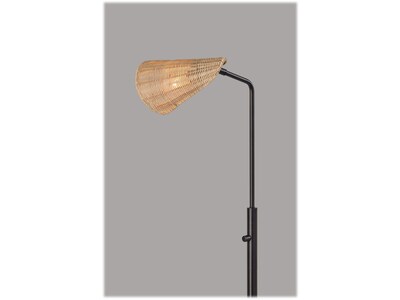 Adesso Cove 58" Metal Floor Lamp with Irregular Shade (5113-01)