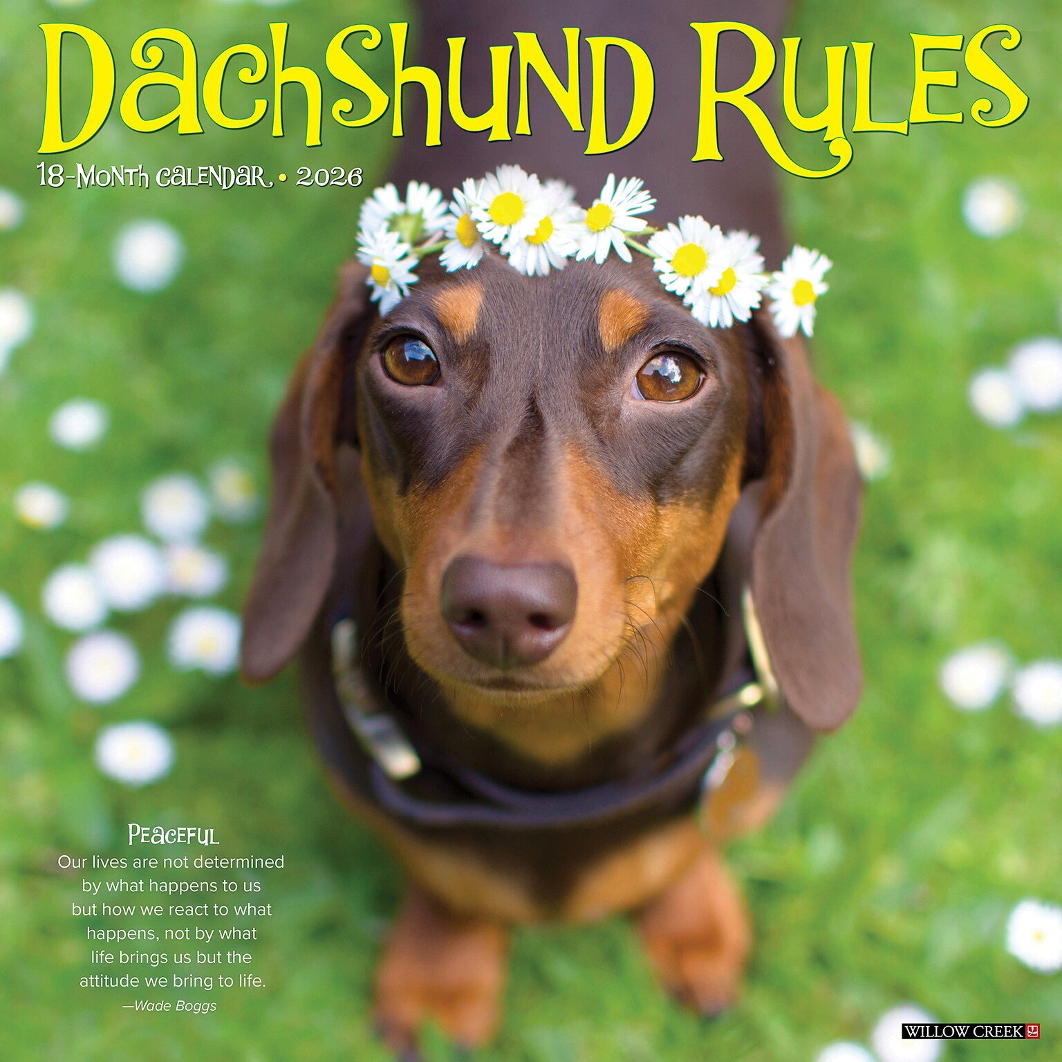 2026 Willow Creek Dachshund Rules 12 x 12 Monthly Wall Calendar (50934)