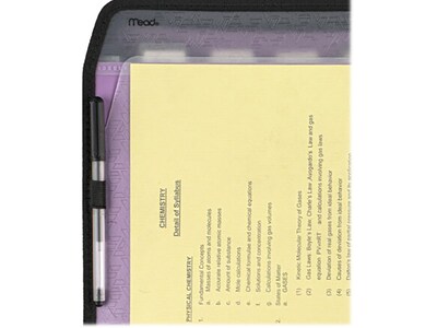 Five Star Reinforced Plastic Accordion File, 7-Pocket, Letter Size, Amethyst Purple (35170)