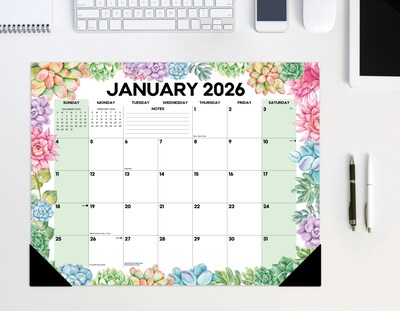 2025-2026 Willow Creek Succulents 17" x 12" Academic Monthly Desk Pad Calendar, Multicolor (56950)