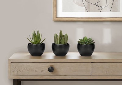 Monarch Specialties Inc. 6 Artificial Succulent Plants, 3/Set (I 9556)