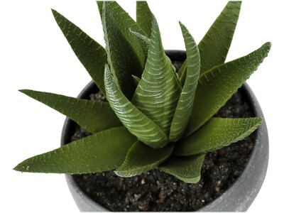 Monarch Specialties Inc. Succulents in Pots, 3/Pack (I 9587)